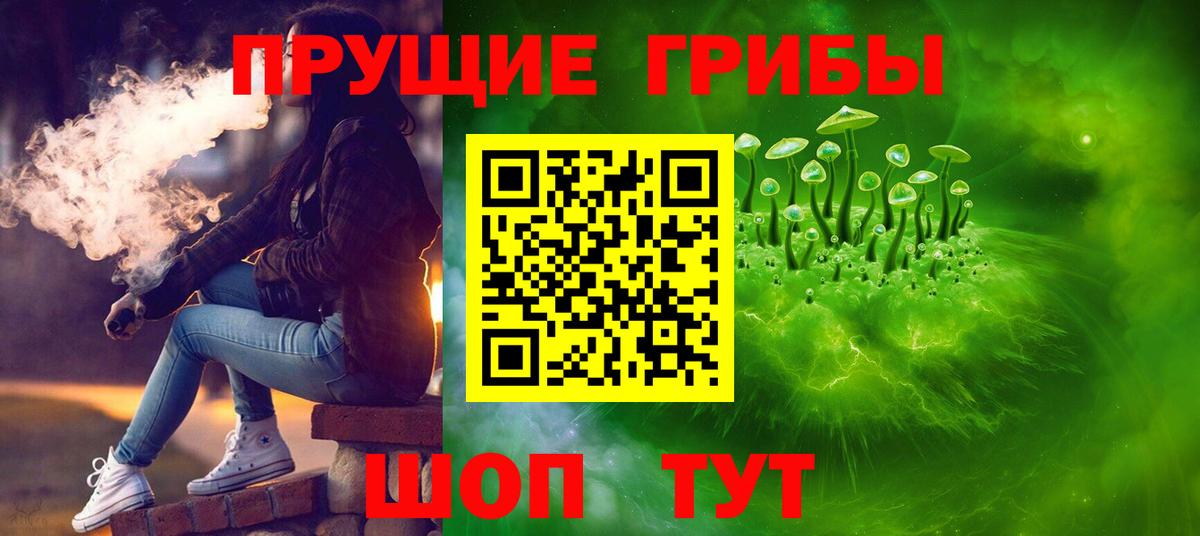 Псилоцибиновые грибы Psilocybine cubensis Кандалакша