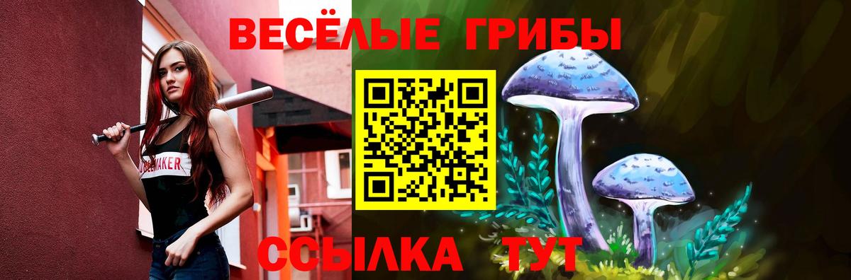 Кандалакша  Галлюциногенные грибы GOLDEN TEACHER  Вход с VPN 